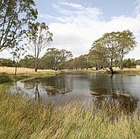 SWIFFT - State Wide Integrated Flora and Fauna Teams