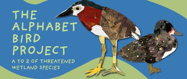 Alphabet bird project 2021