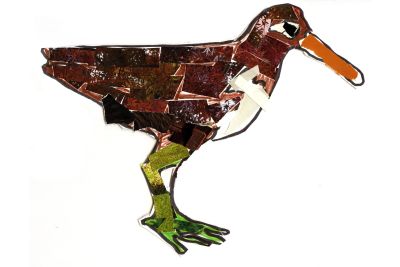 Australian Painted Snipe