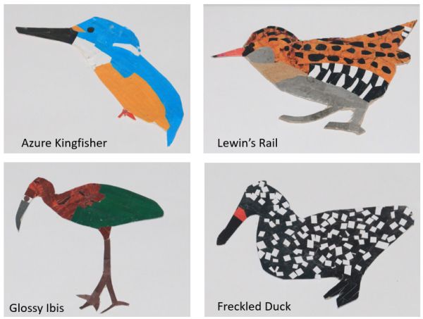 Alphabet Bird Project examples