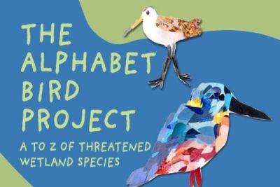 Alphabet Bird Project