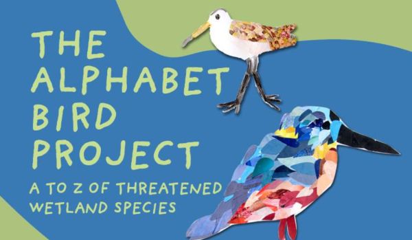 Alphabet Bird project