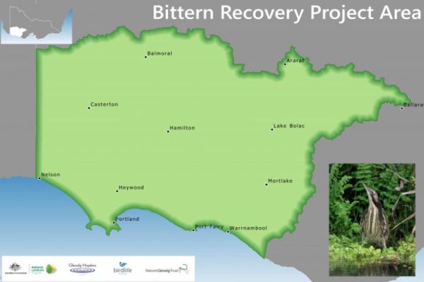 Australasian Bittern project map Source: Glenelg Hopkins CMA