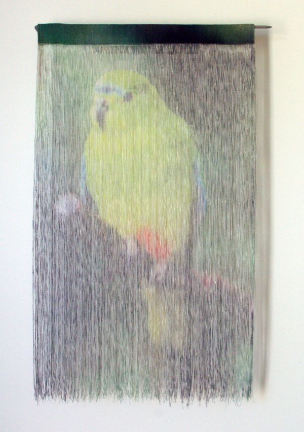 Orange-bellied Parrot Biodiversity Art by Jane Burns