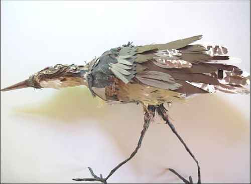 Australasian Bittern Artist; Mary-Jane Walker