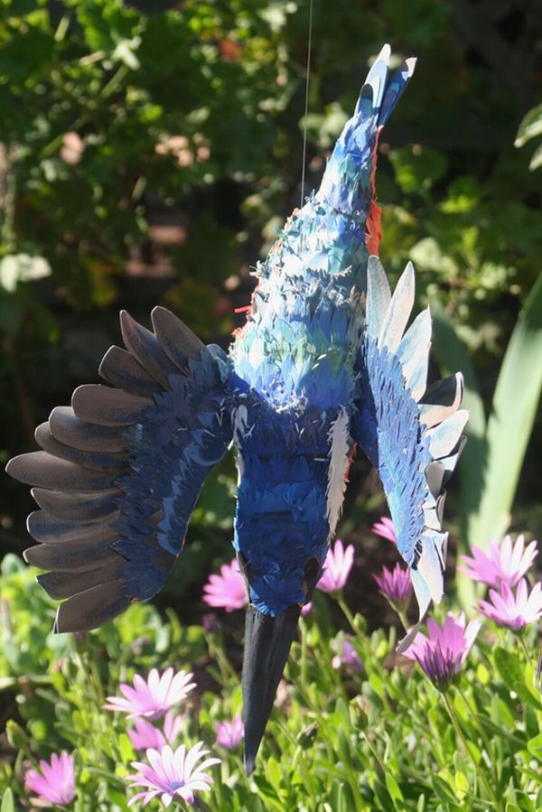 Azure Kingfisher Artist Mary-Jane Walker