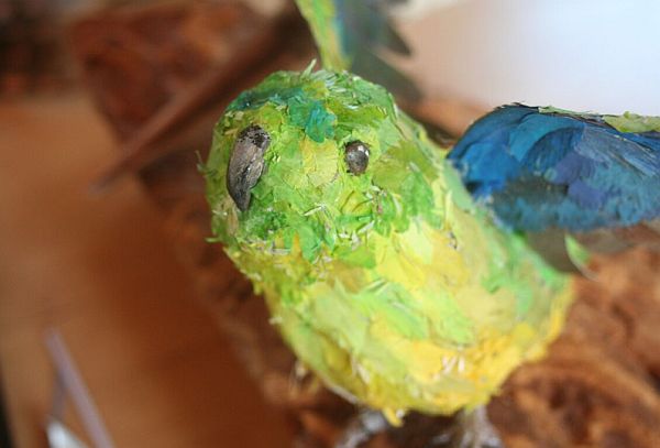 Orange-bellied Parrot Mary-Jane Walker Art