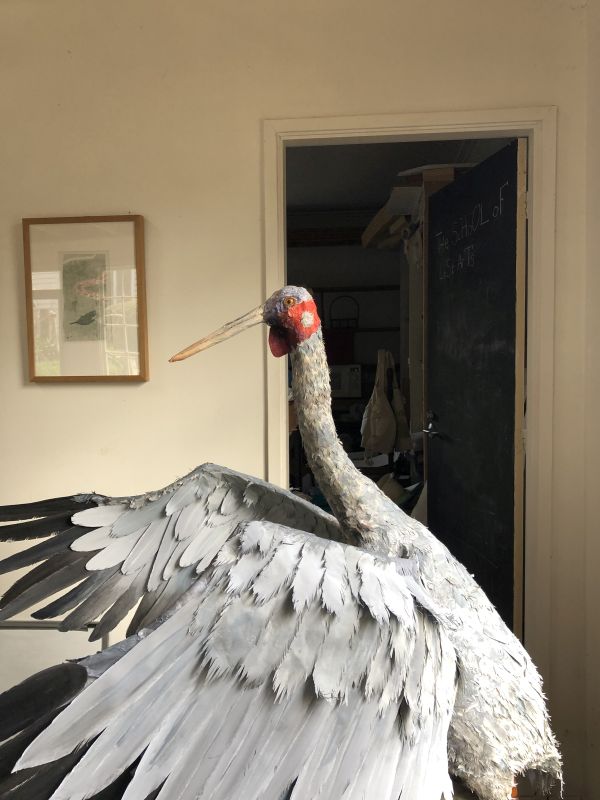 Now You See Us -  Artist May-Jane Walker, Brolga