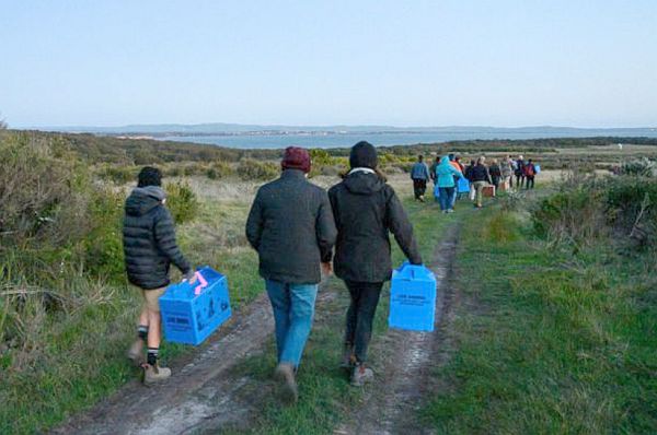 French Island EBB release 