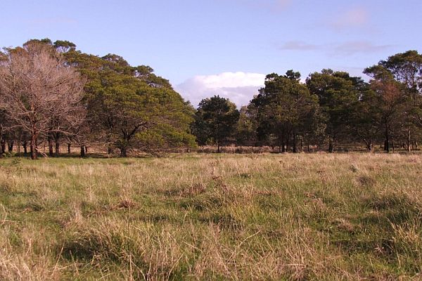 Hamilton Community Parklands 