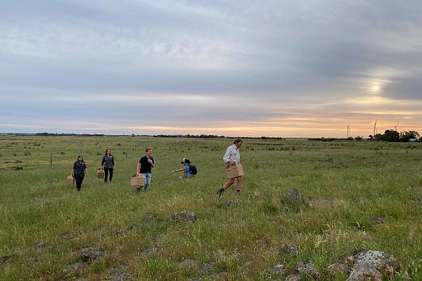 Tiverton grasslands 