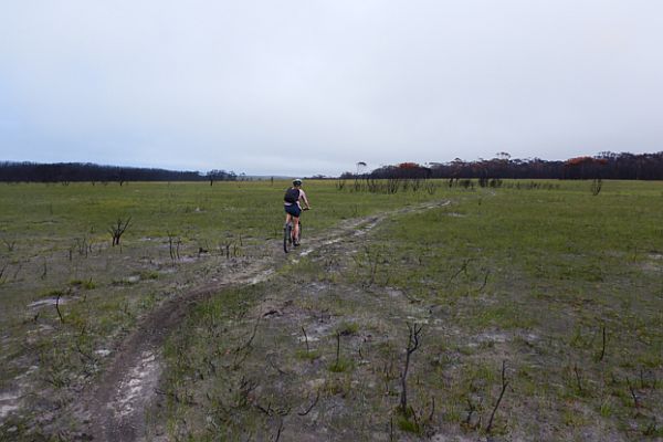 Banksia C burnt area