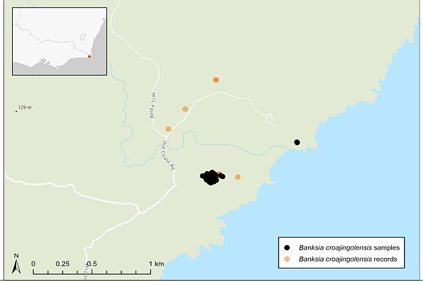 Banksia c map