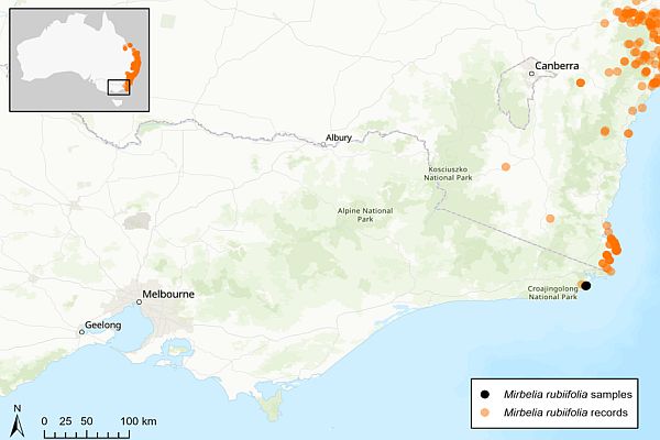 Heathy Mirbelia map La Trobe University