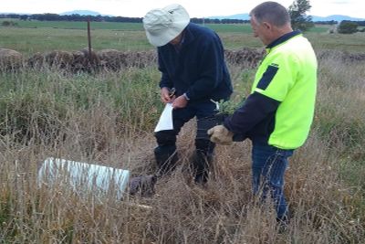 Friends of Forgotten Woodlands project