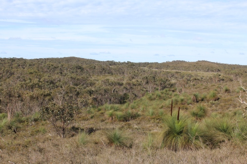 Glenelg Ark Kent ruck Heath