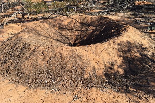 Mallee CMA BRP and BOGA projects - Malleefowl mound