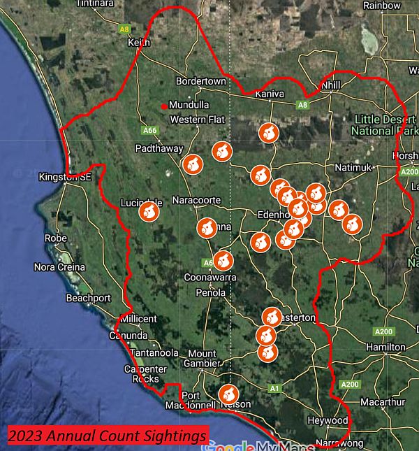 Red-tailed Black-cockatoo survey results 2023