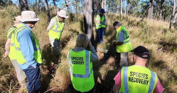 Australian Quoll Conservancy Inc.