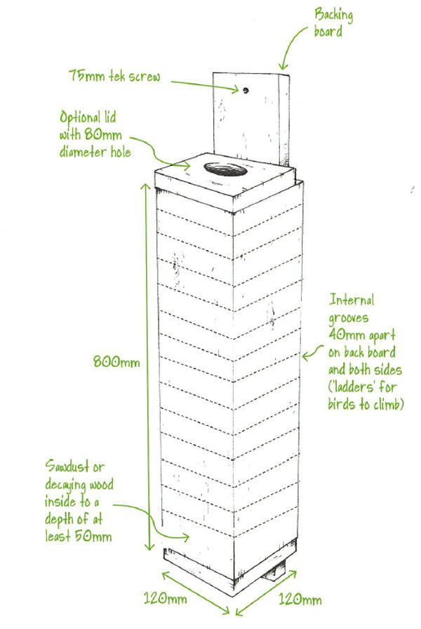 Turquoise Parrot nest box plan. Source: GBCMA