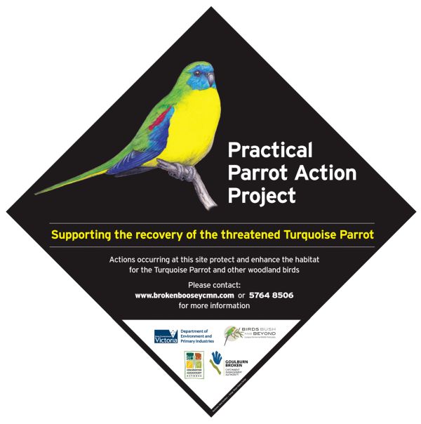 Turquoise Parrot - Practical Action Project. GBCMA