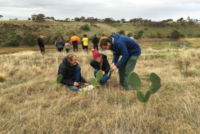 Weeds at the Early Stages of Invasion (WESI) project. Image: Opuntioid Cacti Workshop, Bacchus Marsh. May 2018. Photo credit: Kate Blood, DELWP.