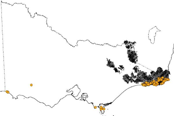 Eastern Ground Parrot distribution from 2000 to pre-fire 2019-2020. Source DELWP