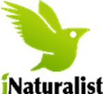 iNaturalist