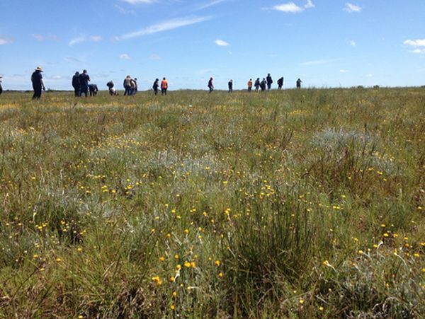 Linear Reserves Project Victoria