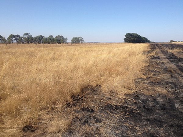 linear reserves project burning