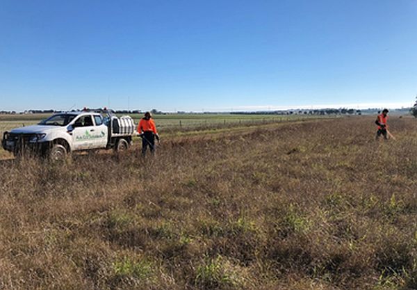 linear reserves project works