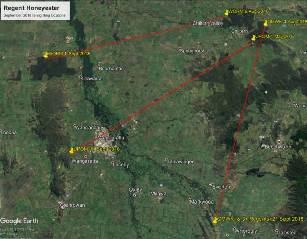 Regent Honeyeater sightings September 2018 Source: Glen Johnson