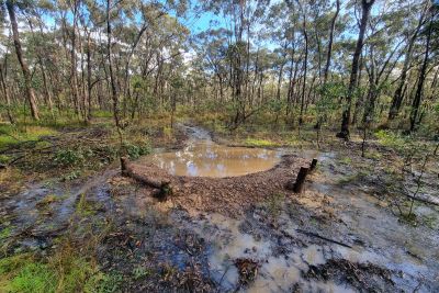 Spring Plains Project Central Victorian Biolinks 