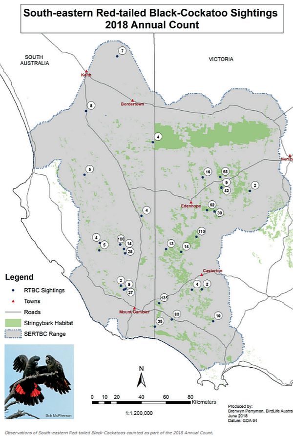 Red-tailed Black-cockatoo survey results 2018 Source: Birdlife Australia