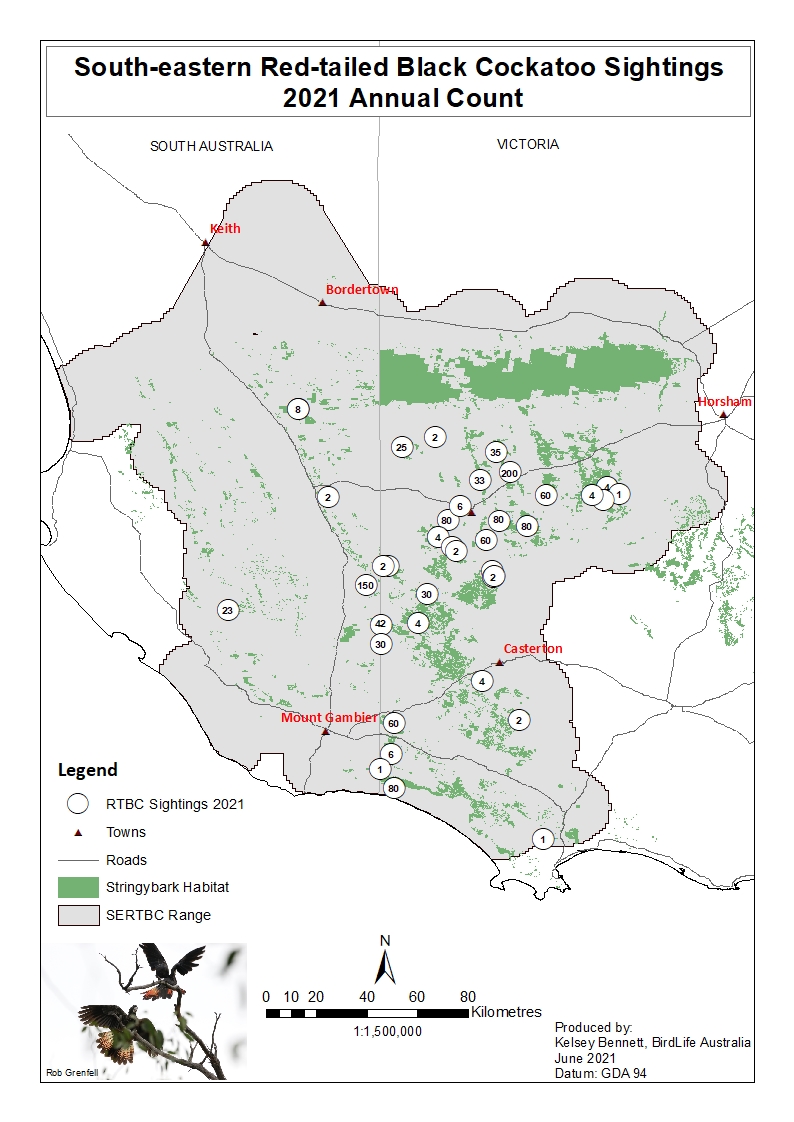 Red-tailed Black-Cockatoo survey results 2021 Source: Birdlife Australia