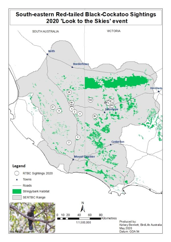 South Eastern Red-tailed Black-cockatoo count map 2020 Source: Birdlife Australia