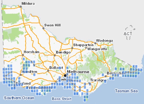 Southern Brown Bandicoot all records VBA