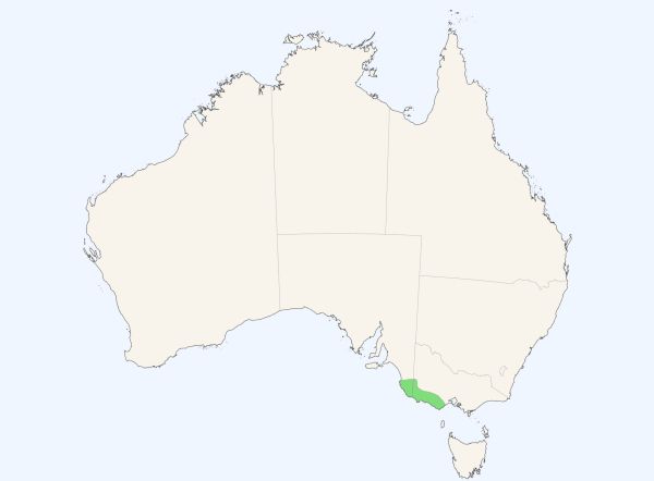 Southern Bent-wing Bat distribution. Source Bat Map