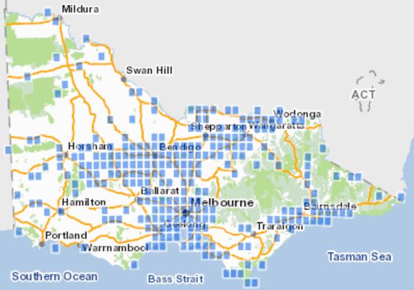 swift parrot map