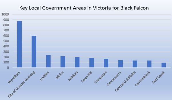 Black Falcon key areas in Victoria by Local Government Area