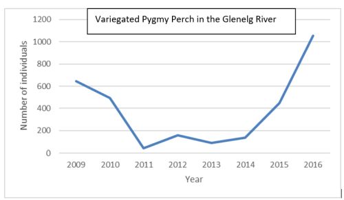 variegated pygmy perch environmental flows 