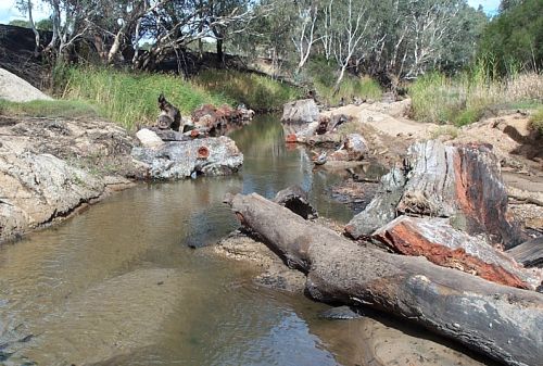 VPP habitat reinstatement glenelg river