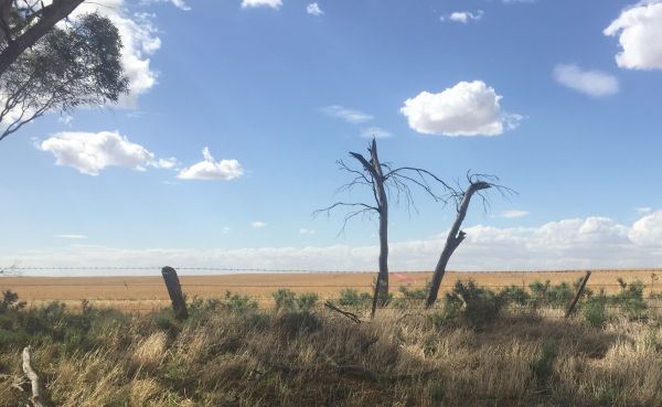 Wyperfeld landscape - Mallee CMA