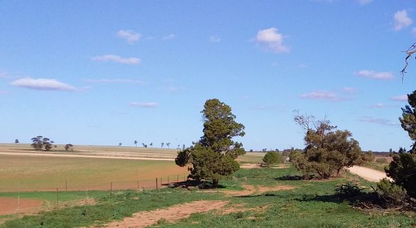 Yarrara - Mallee CMA