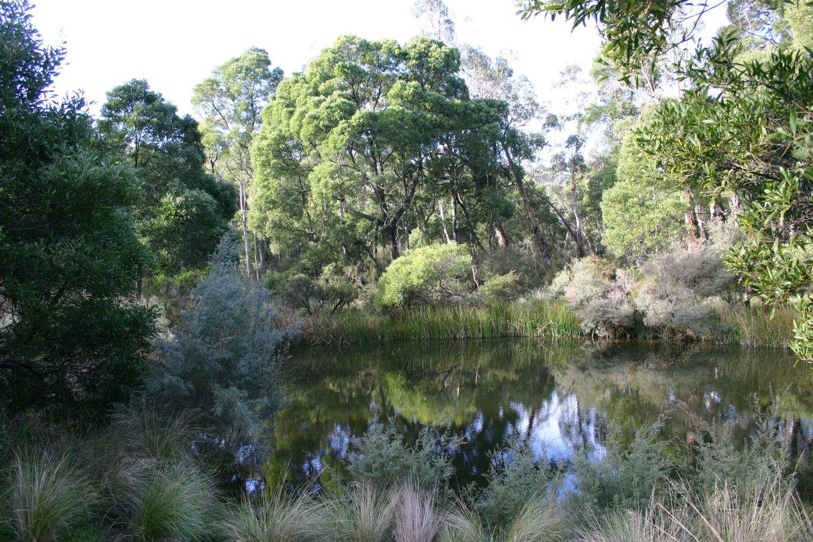 river habitat