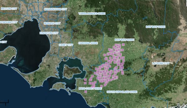 Giant Gippsland Earthworm Visualising Victoria's Biodiversity 2019