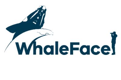 WhaleFace