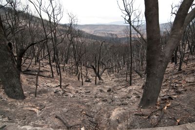 CSIRO burnt area King Lake 2009