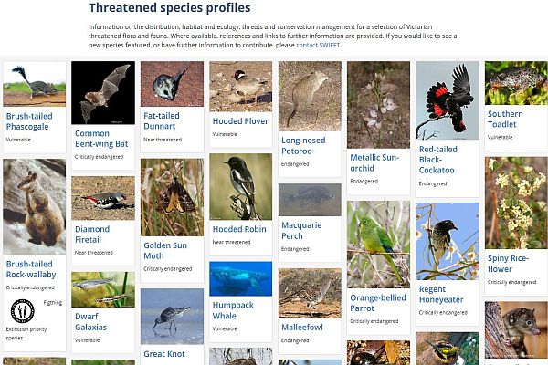 threatened species profiles