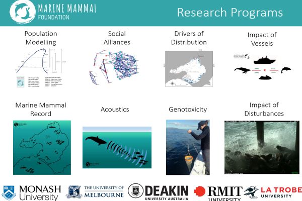 Marine Mammal Foundation presentation to SWIFFT seminar 13 February 2020